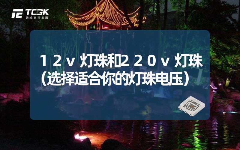 12v灯珠和220v灯珠（选择适合你的灯珠电压）