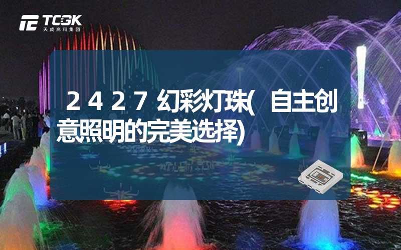 2427幻彩灯珠(自主创意照明的完美选择)