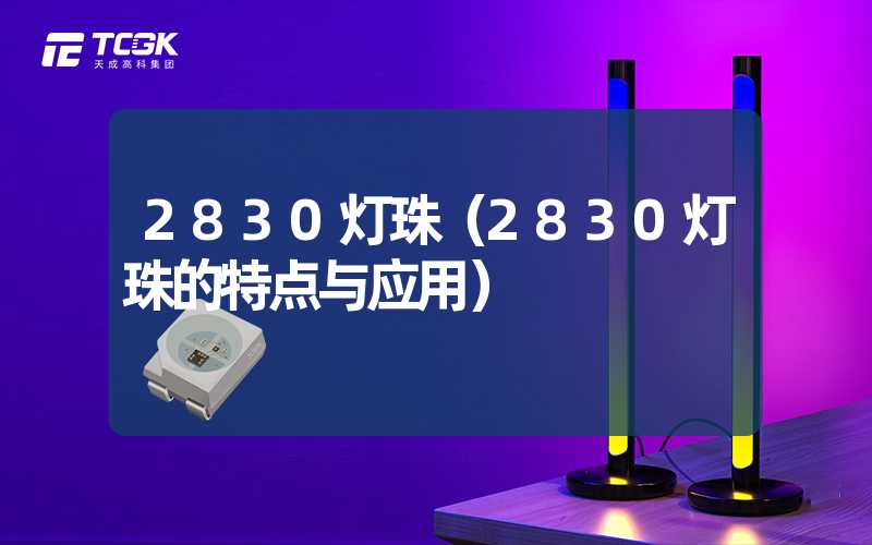 2830灯珠（2830灯珠的特点与应用）