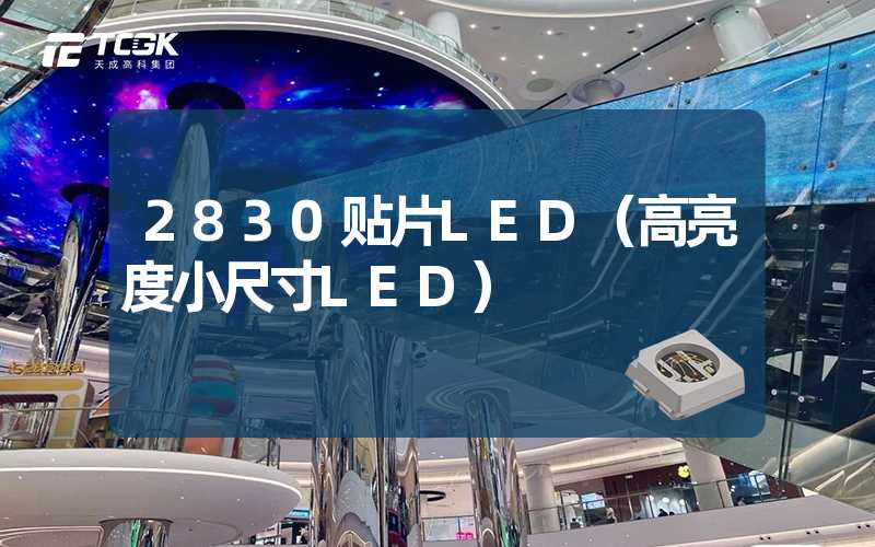 2830贴片LED（高亮度小尺寸LED）