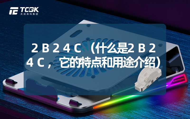 2B24C（什么是2B24C,它的特点和用途介绍）