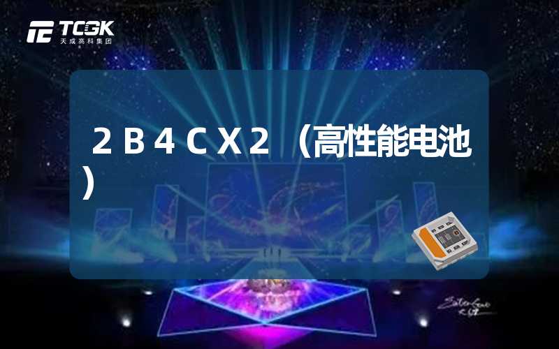 2B4CX2（高性能电池）