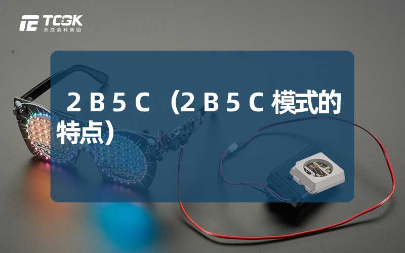 2B5C（2B5C模式的特点）