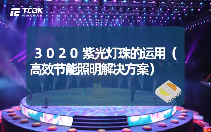 3020紫光灯珠的运用（高效节能照明解决方案）