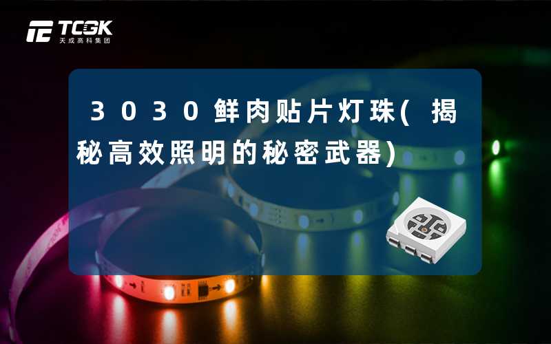 3030鲜肉贴片灯珠(揭秘高效照明的秘密武器)