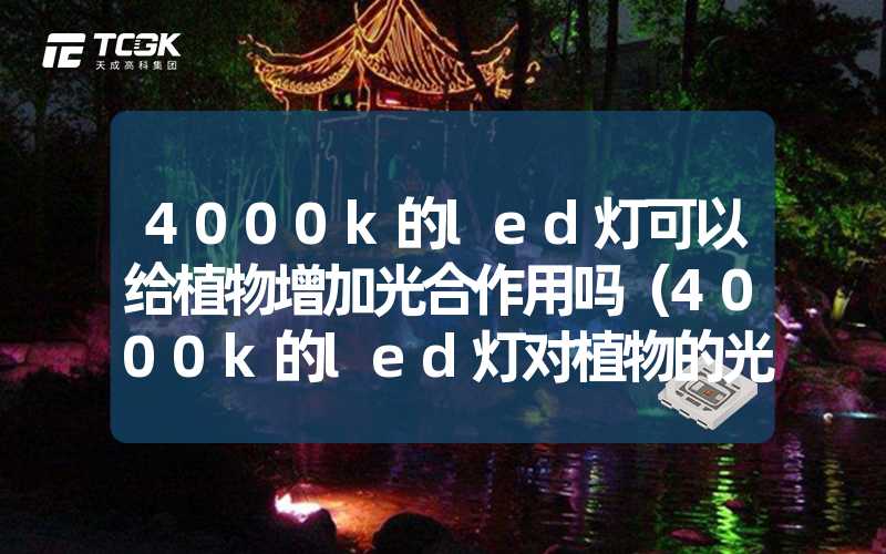 4000k的led灯可以给植物增加光合作用吗（4000k的led灯对植物的光合作用影响分析）