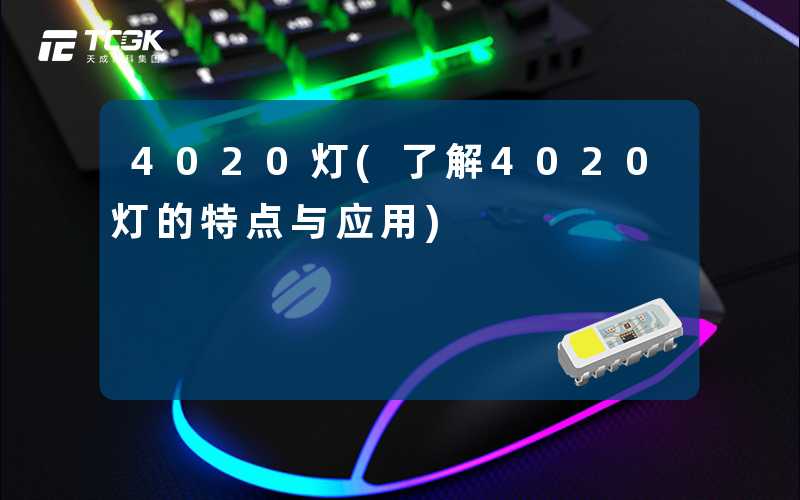 4020灯(了解4020灯的特点与应用)