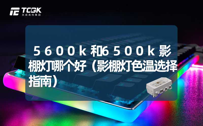 5600k和6500k影棚灯哪个好（影棚灯色温选择指南）