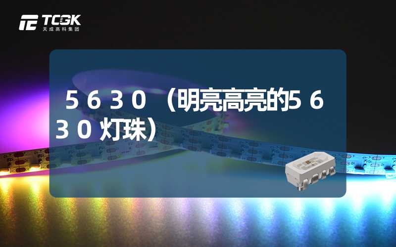 5630（明亮高亮的5630灯珠）