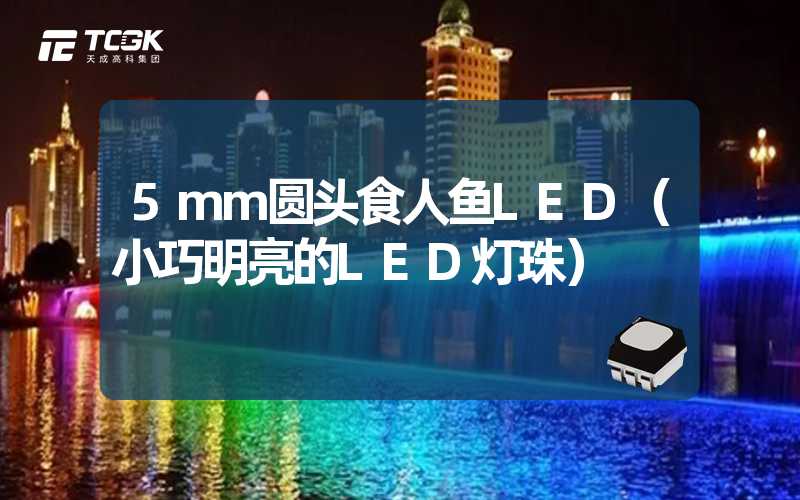 5mm圆头食人鱼LED（小巧明亮的LED灯珠）