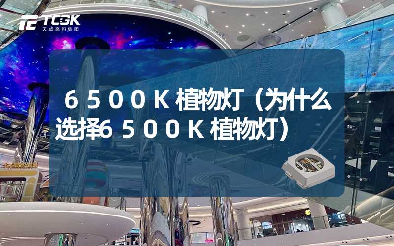 6500K植物灯（为什么选择6500K植物灯）