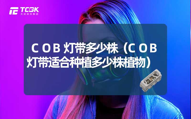 COB灯带多少株（COB灯带适合种植多少株植物）