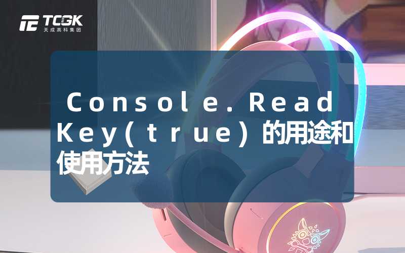 Console.ReadKey(true)的用途和使用方法