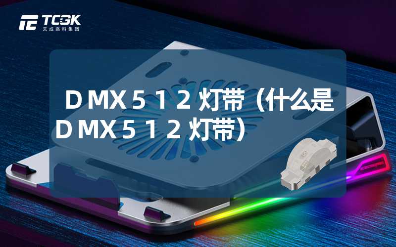 DMX512灯带（什么是DMX512灯带）