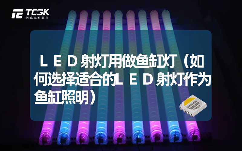 LED射灯用做鱼缸灯（如何选择适合的LED射灯作为鱼缸照明）