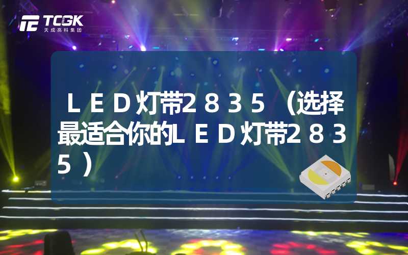 LED灯带2835（选择最适合你的LED灯带2835）