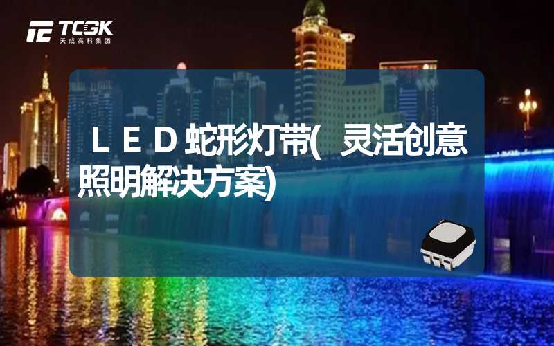 LED蛇形灯带(灵活创意照明解决方案)