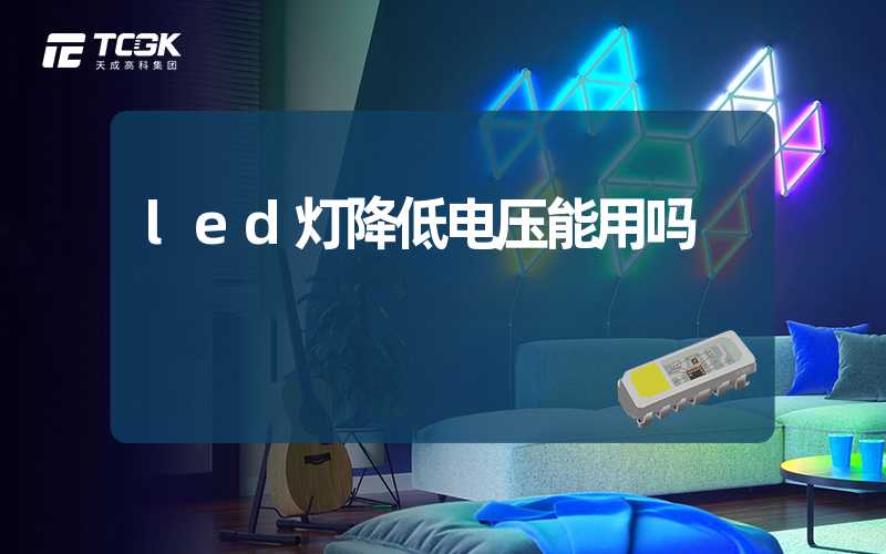 led灯降低电压能用吗