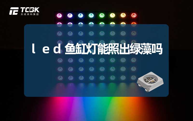 led鱼缸灯能照出绿藻吗