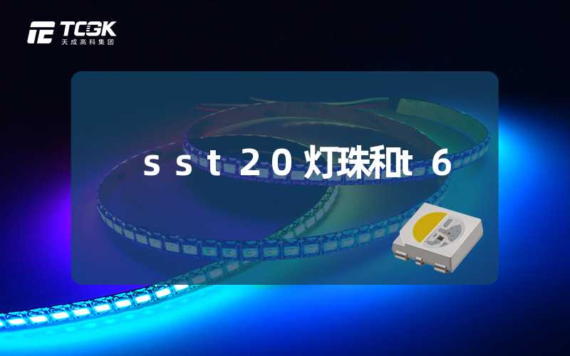 sst20灯珠和t6