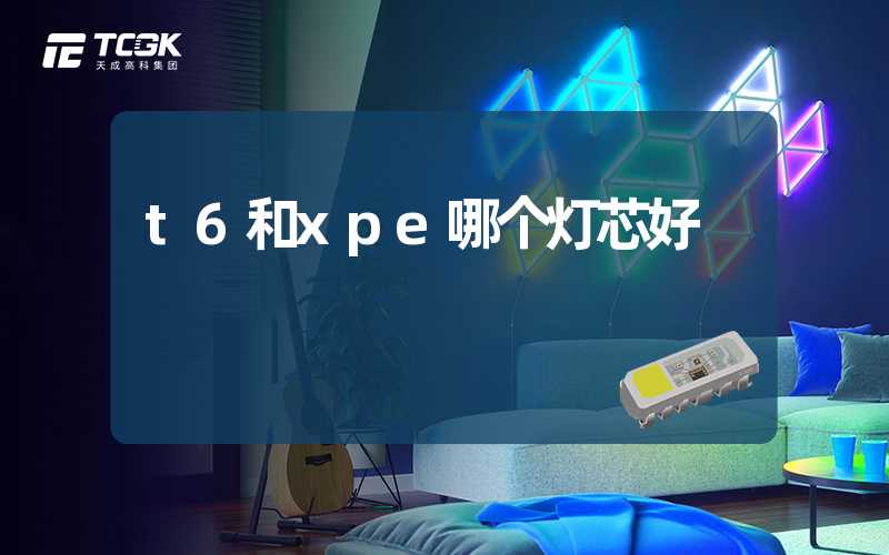 t6和xpe哪个灯芯好