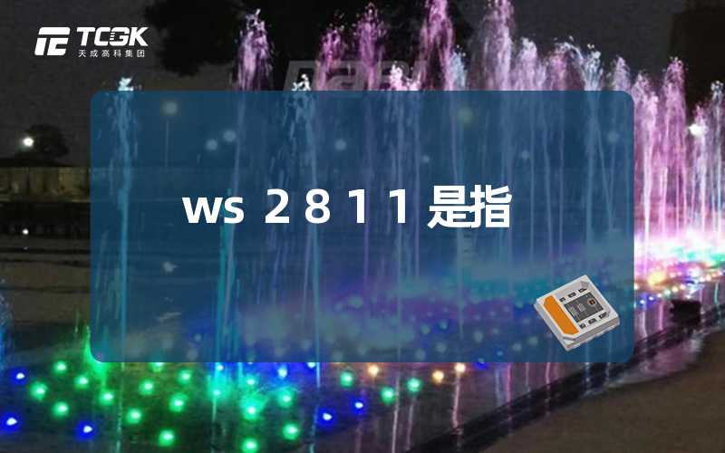 ws2811是指