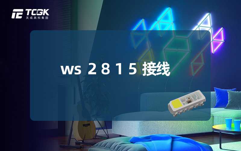 ws2815接线