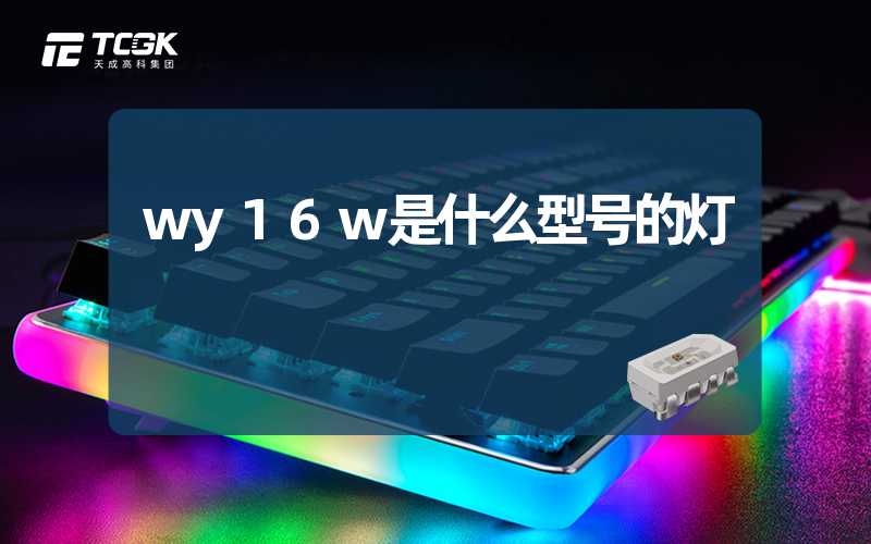 wy16w是什么型号的灯