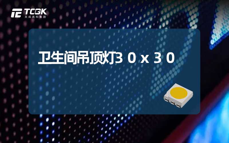 卫生间吊顶灯30x30