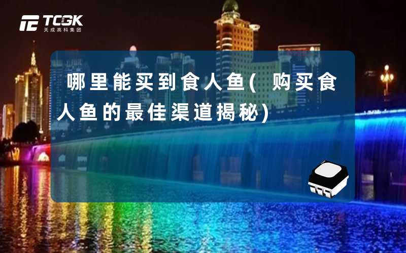 哪里能买到食人鱼(购买食人鱼的最佳渠道揭秘)