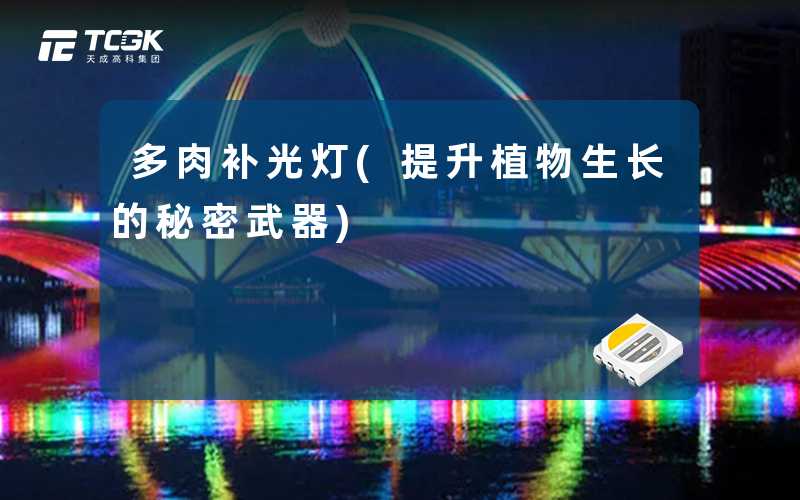 多肉补光灯(提升植物生长的秘密武器)