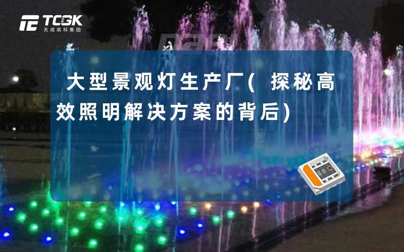 大型景观灯生产厂(探秘高效照明解决方案的背后)