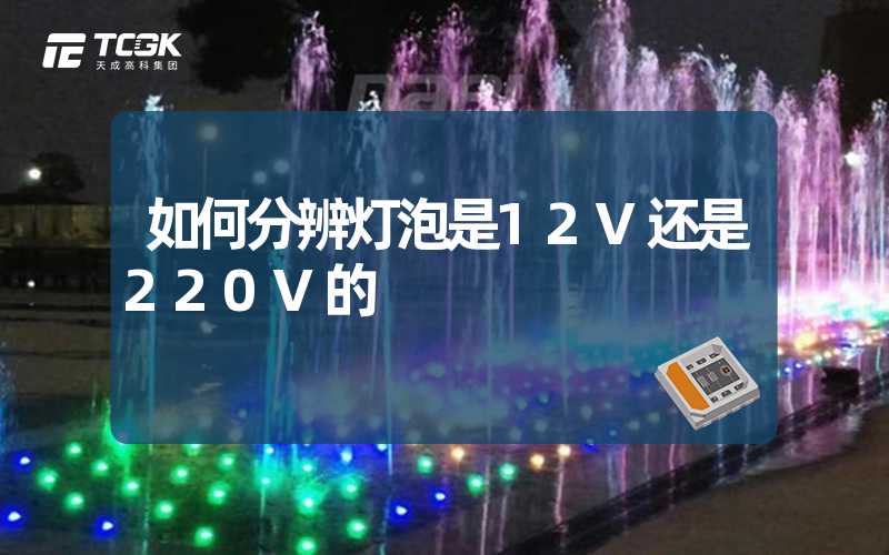 如何分辨灯泡是12V还是220V的