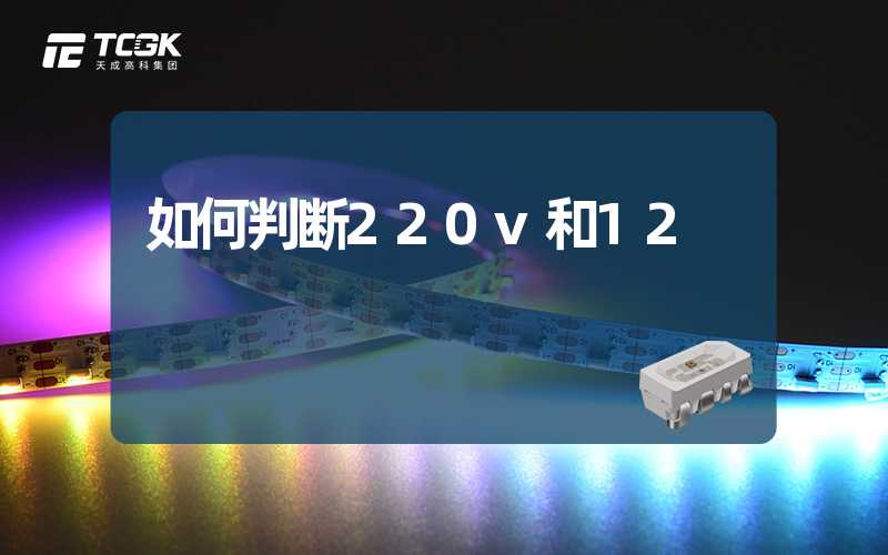 如何判断220v和12